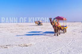 Explore the Enchanting White Rann of Kutch – A Complete Travel Guide by Vrutalaya Tourism